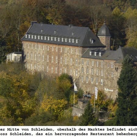 Ferienwohnung Gross A Schleiden Buitenkant foto