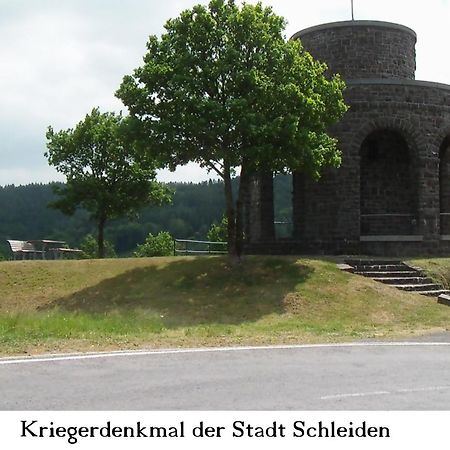 Ferienwohnung Gross A Schleiden Buitenkant foto