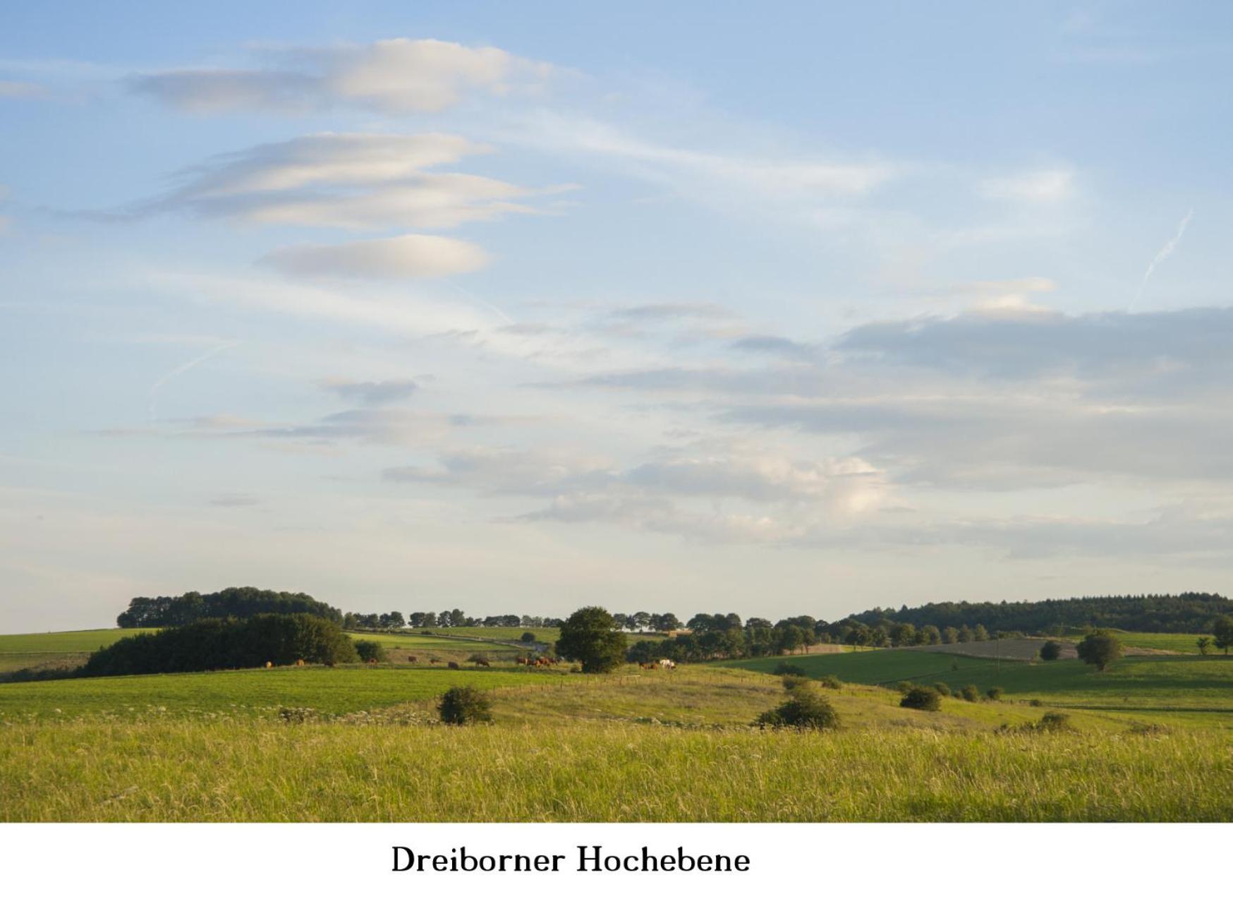 Ferienwohnung Gross A Schleiden Buitenkant foto