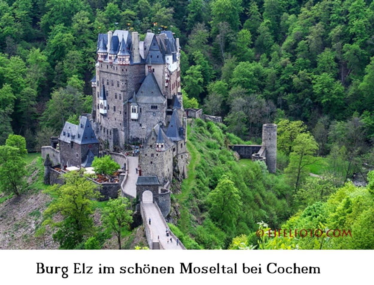 Ferienwohnung Gross A Schleiden Buitenkant foto