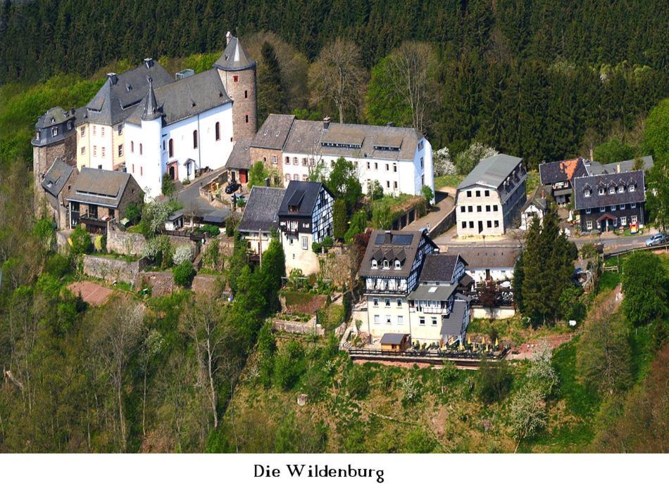 Ferienwohnung Gross A Schleiden Buitenkant foto
