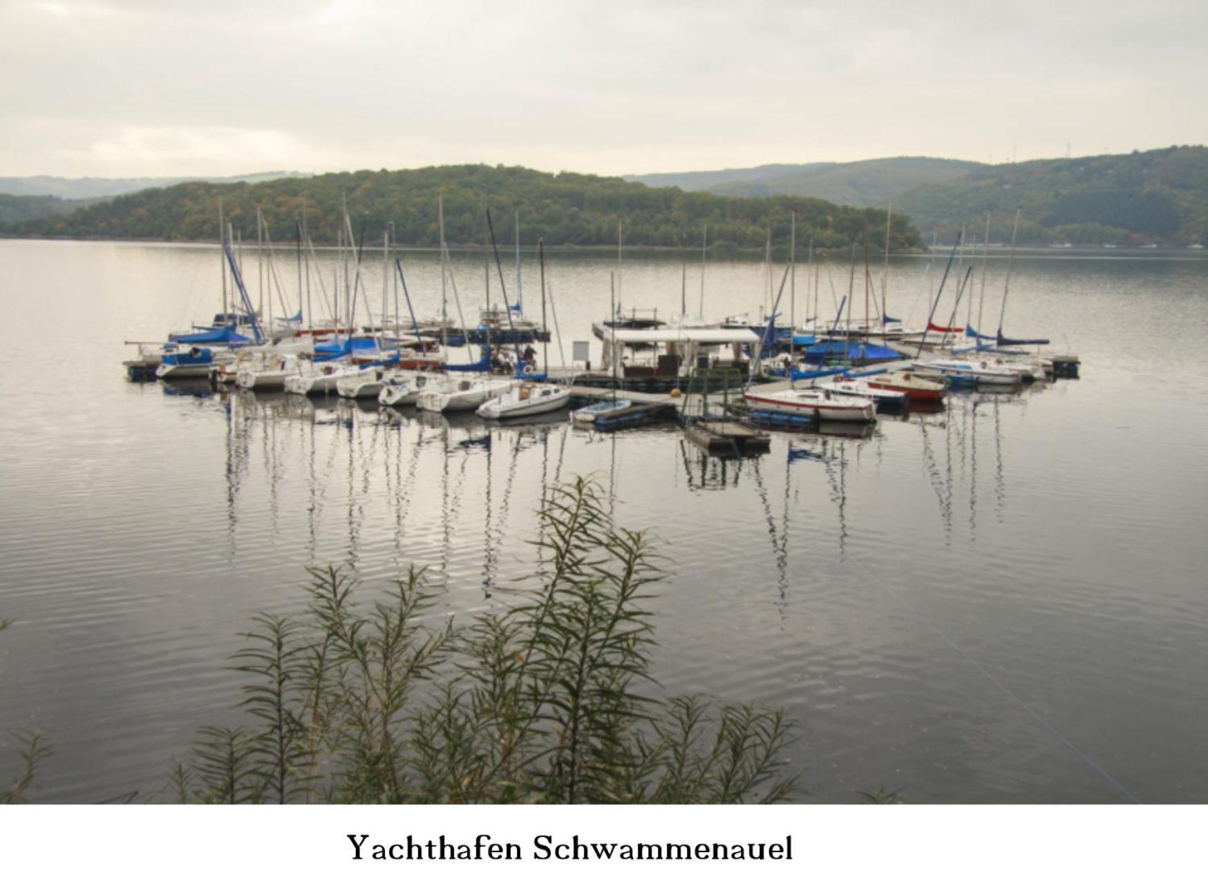 Ferienwohnung Gross A Schleiden Buitenkant foto
