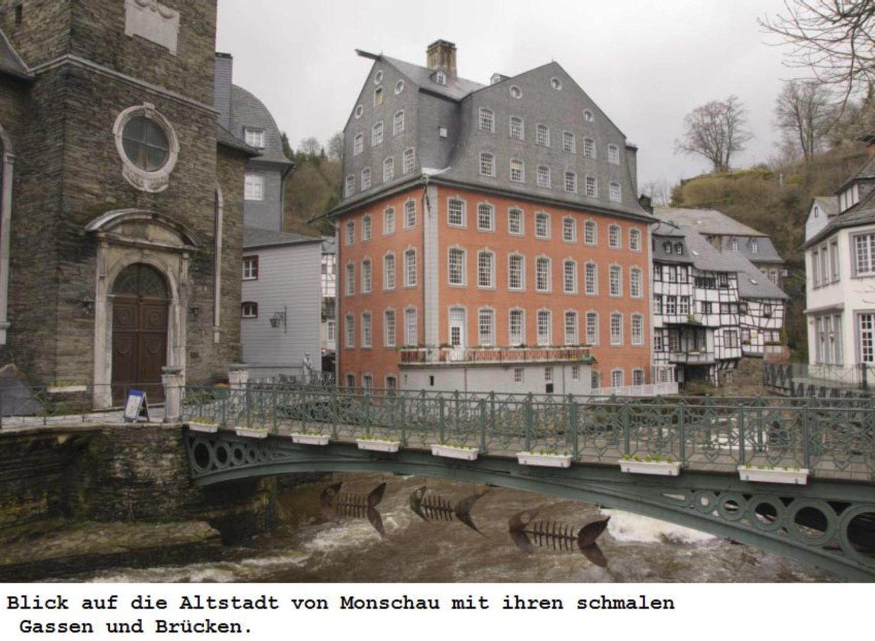 Ferienwohnung Gross A Schleiden Buitenkant foto