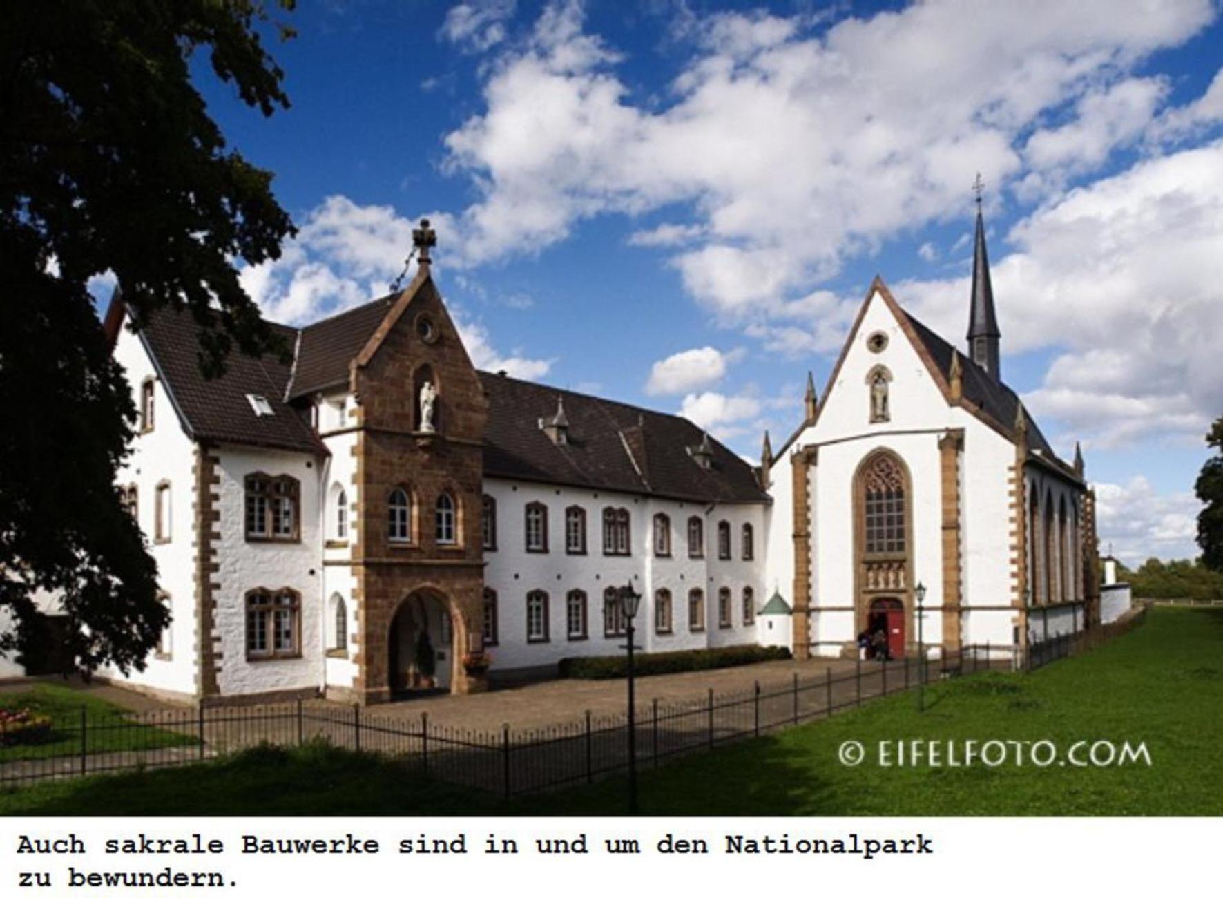 Ferienwohnung Gross A Schleiden Buitenkant foto