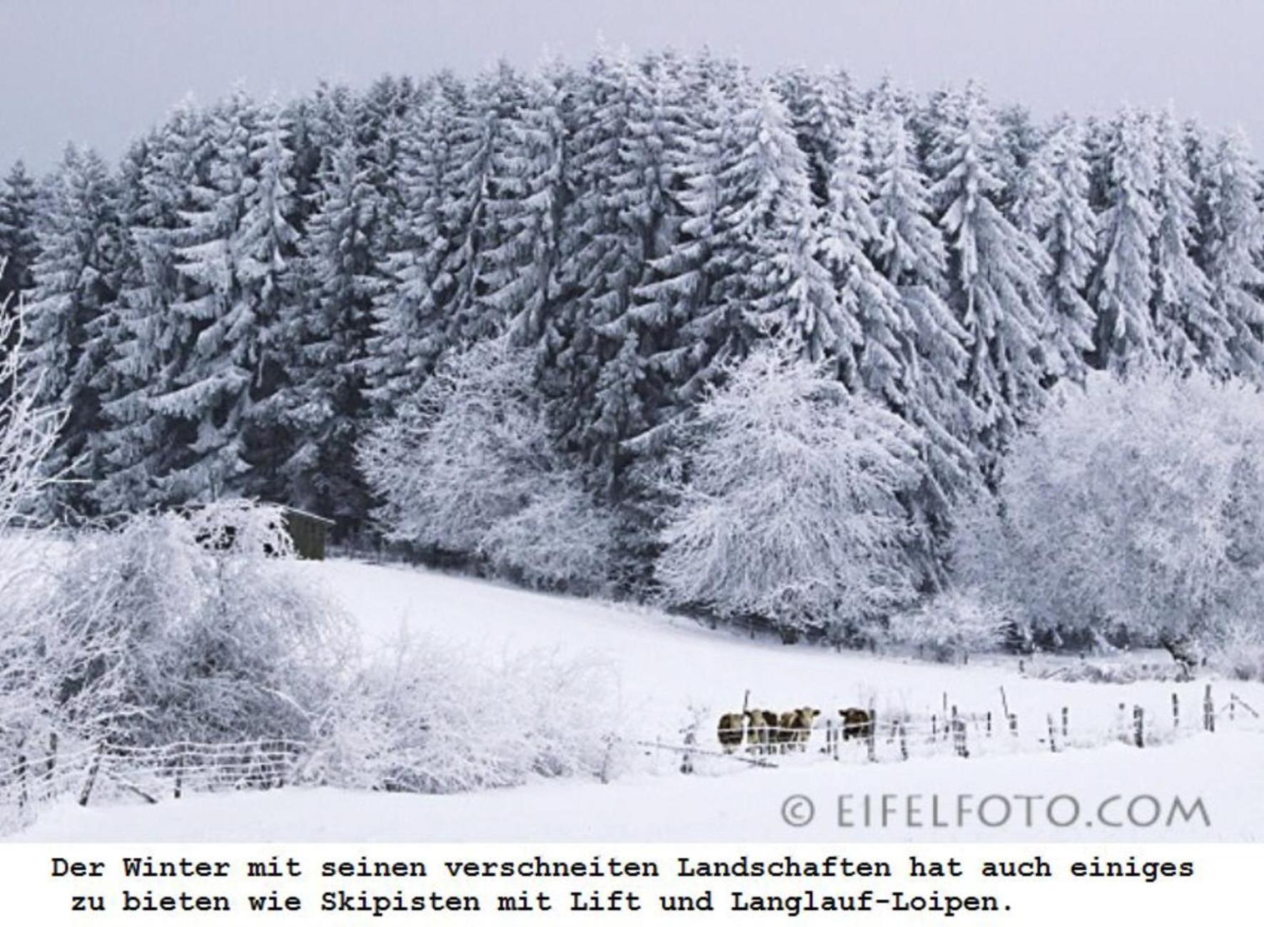 Ferienwohnung Gross A Schleiden Buitenkant foto